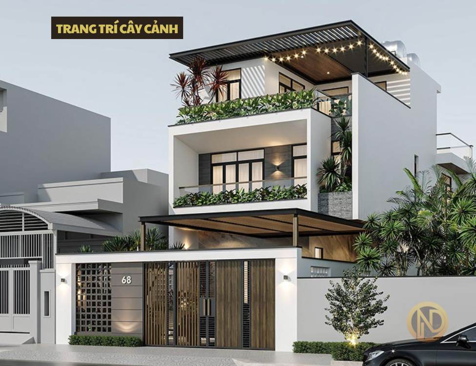 Trang trí cây cảnh