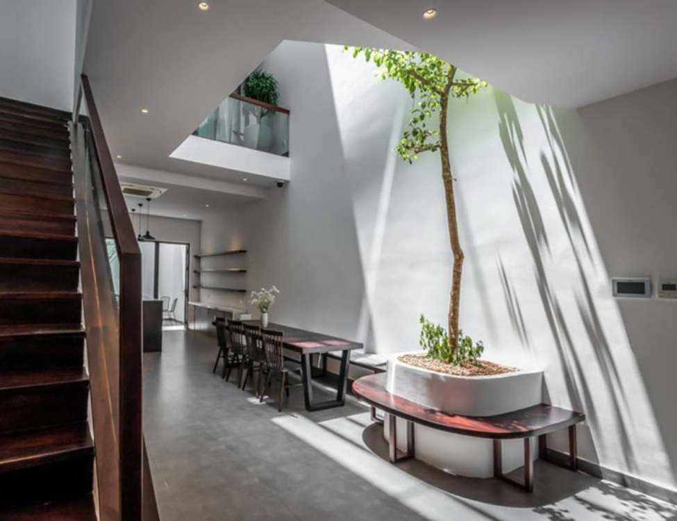 Giếng trời & sân trước đẹp cho nhà