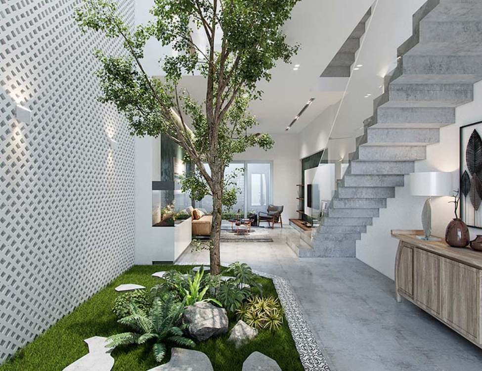 Cây xanh đẹp trong nhà