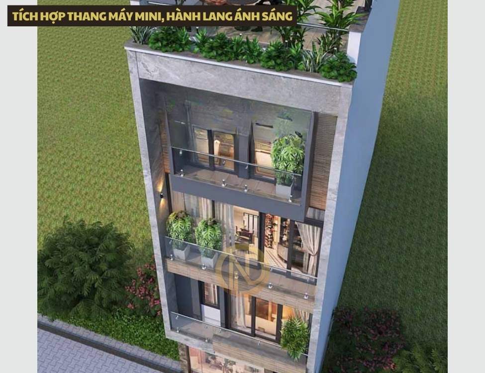 Mẫu D