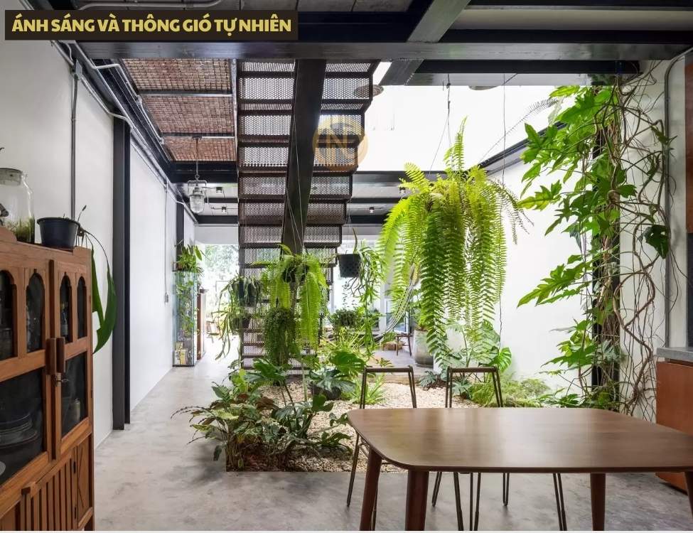 Ánh sáng và thông gió tự nhiên
