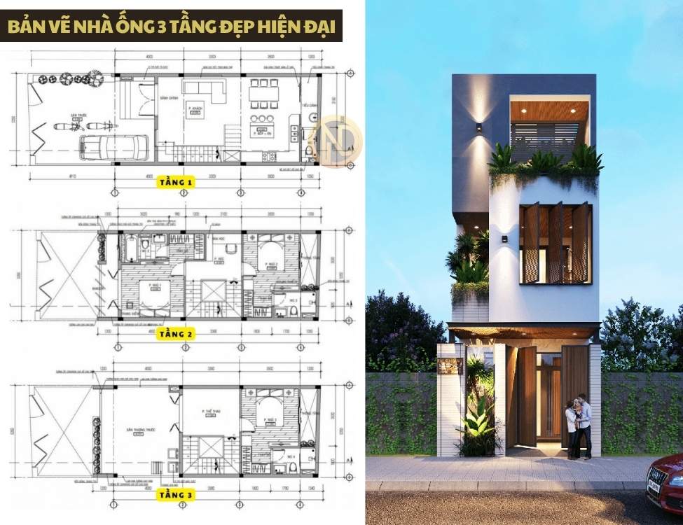 Nhà 3 tầng 5x15m hiện đại và mặt đứng & vật liệu