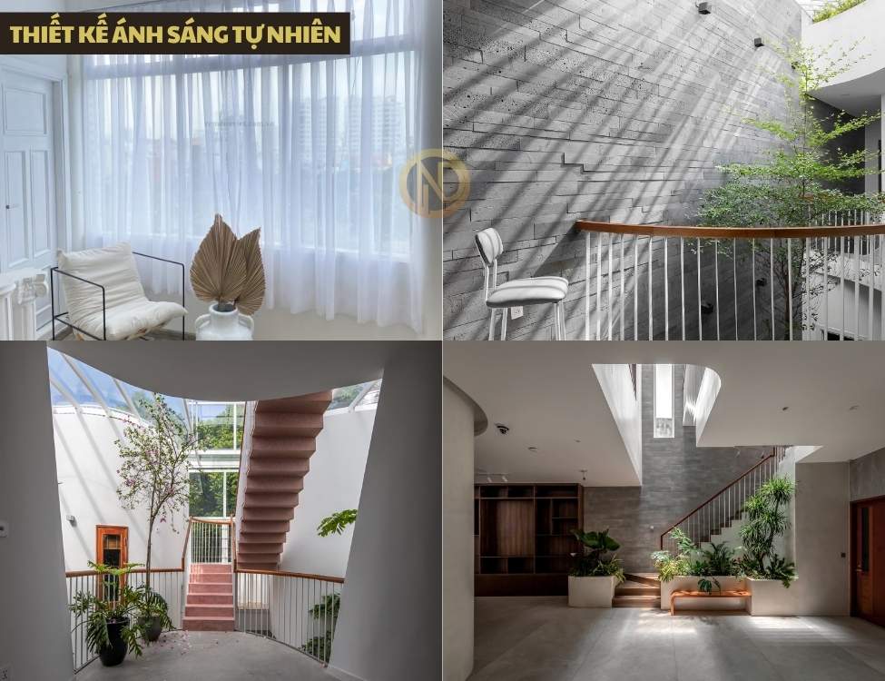 Thiết kế ánh sáng tự nhiên