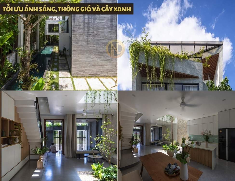 Tối ưu ánh sáng thông gió và cây xanh