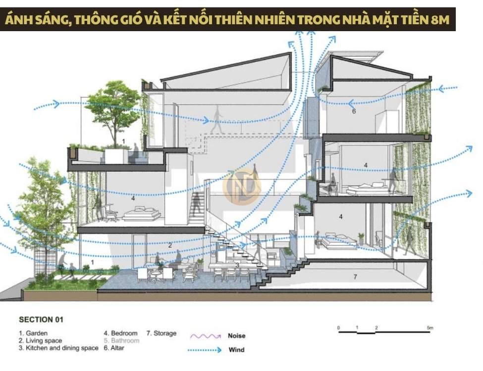Ánh sáng, thông gió và kết nối thiên nhiên trong nhà mặt tiền 8m