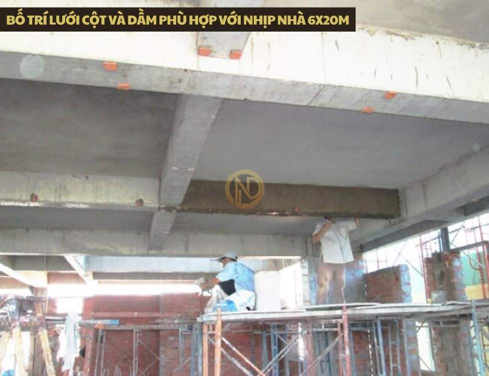 Bố trí lưới cột và dầm phù hợp với nhịp nhà 6x20m