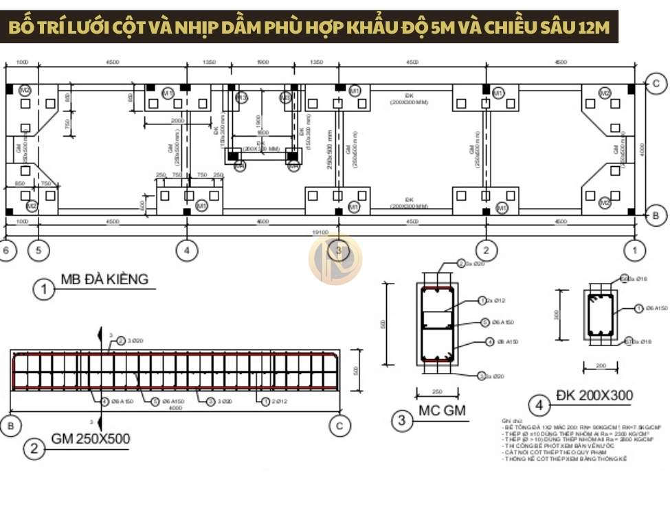 Bố trí lưới cột và nhịp dầm phù hợp khẩu độ 5m và chiều sâu 12m