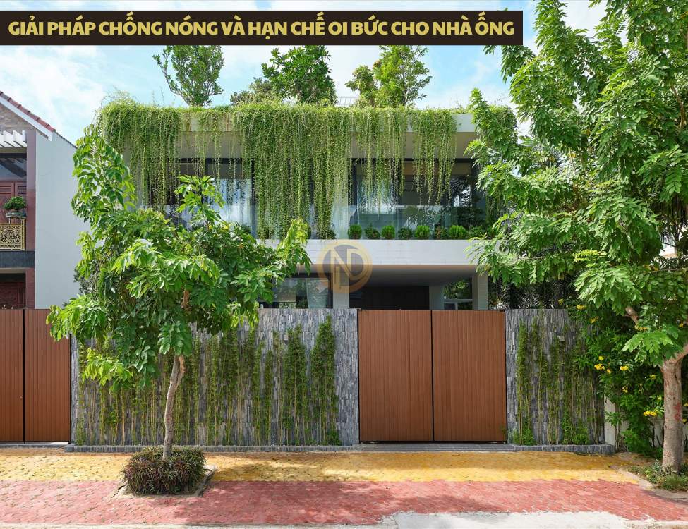 Giải pháp chống nóng và hạn chế oi bức cho nhà ống sâu 20m