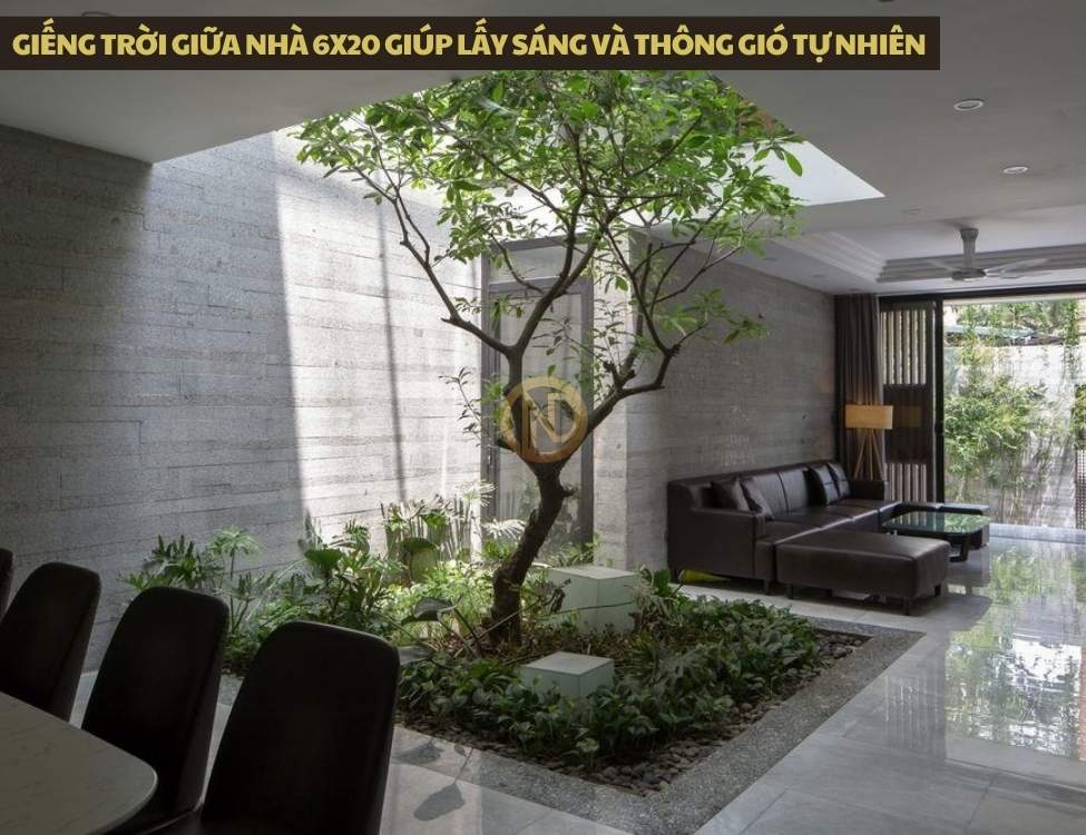Giếng trời giữa nhà 6x20 giúp lấy sáng và thông gió tự nhiên