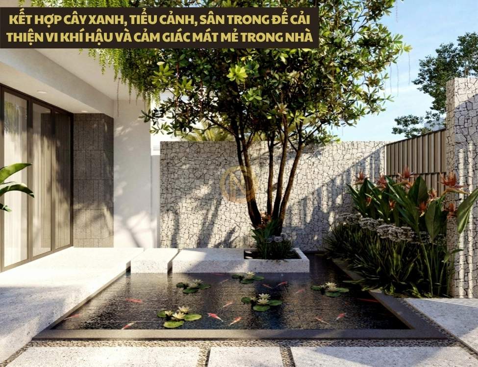 Kết hợp cây xanh, tiểu cảnh, sân trong để cải thiện vi khí hậu và cảm giác mát mẻ trong nhà