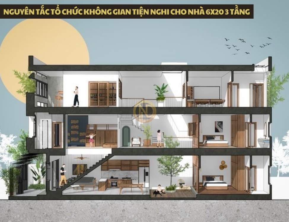 Nguyên tắc tổ chức không gian tiện nghi cho nhà 6x20 3 tầng