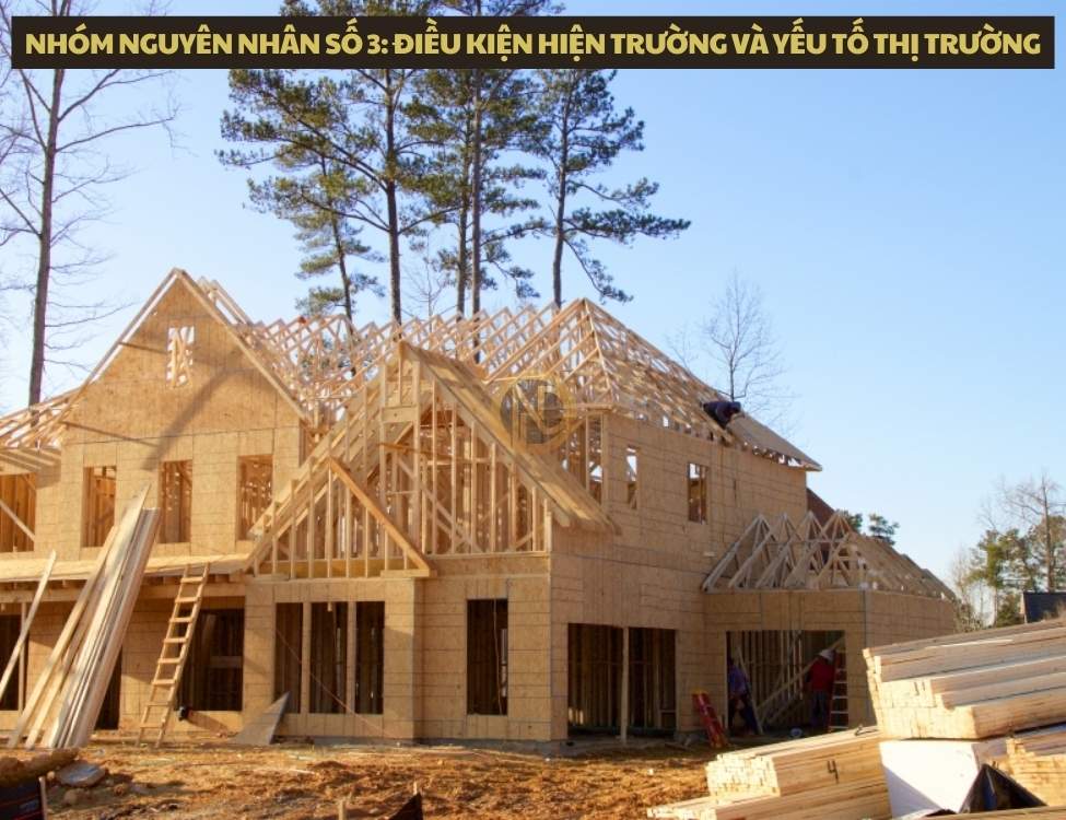 Nhóm nguyên nhân số 3